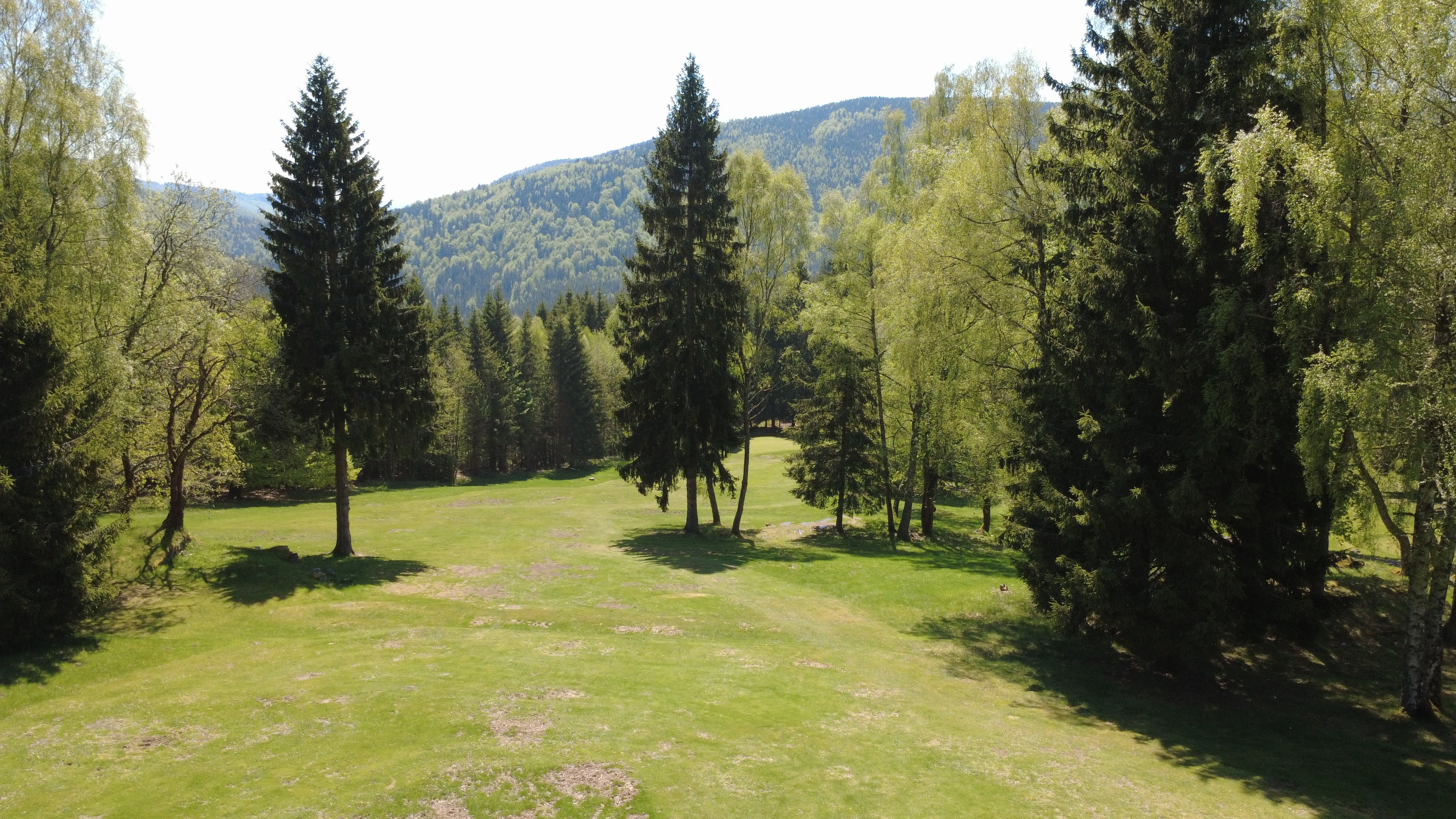 Atmosféra hřiště Harrachov - jamka a lesní panorama